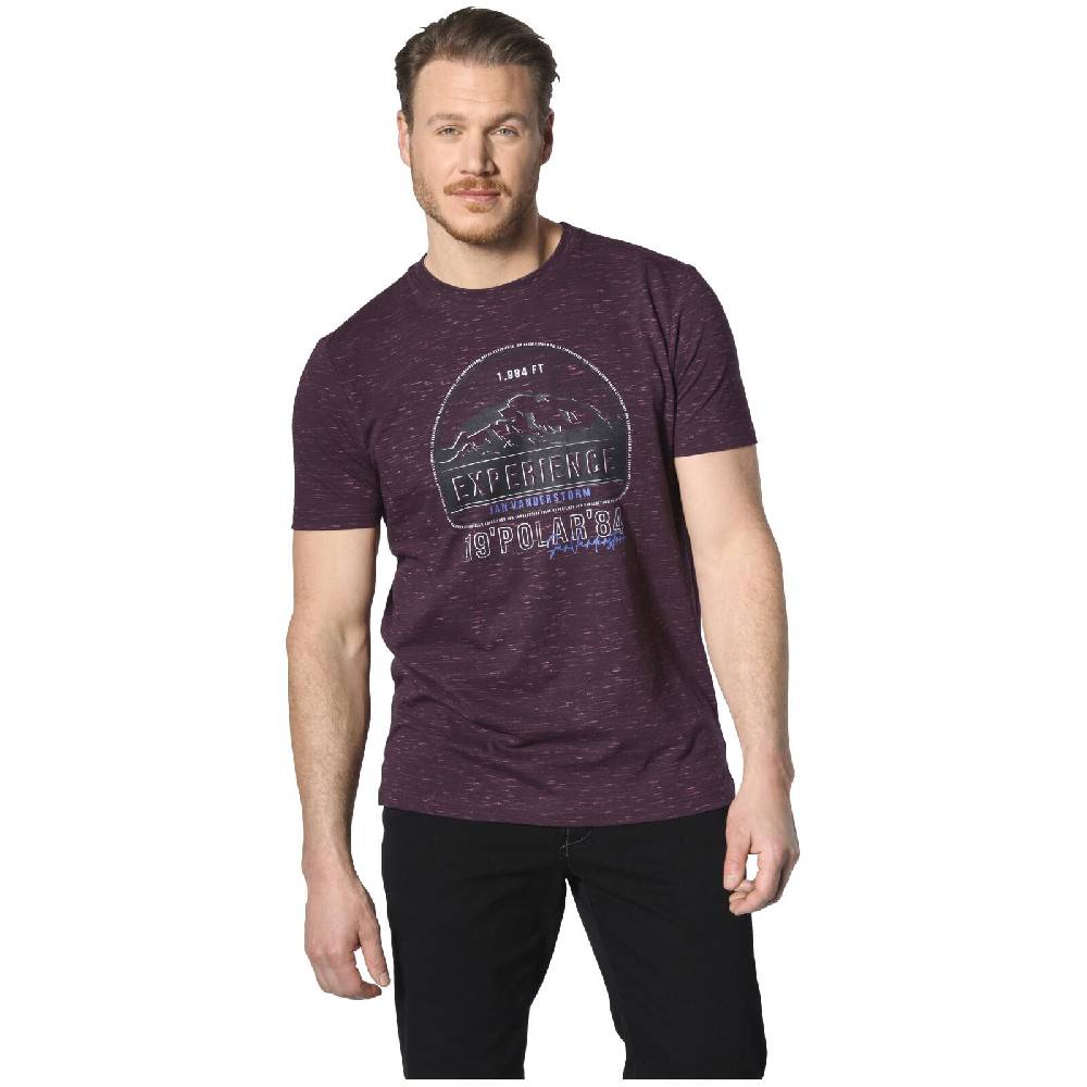 Jan Vanderstorm T-Shirt PERDALSON lila melange Speichern exportieren