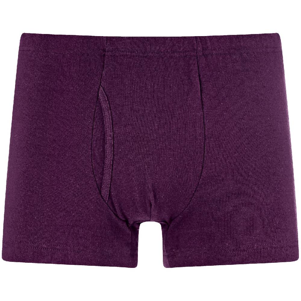 Jan Vanderstorm 5er Pack Retropants GARDAR bunt Fabrikladen