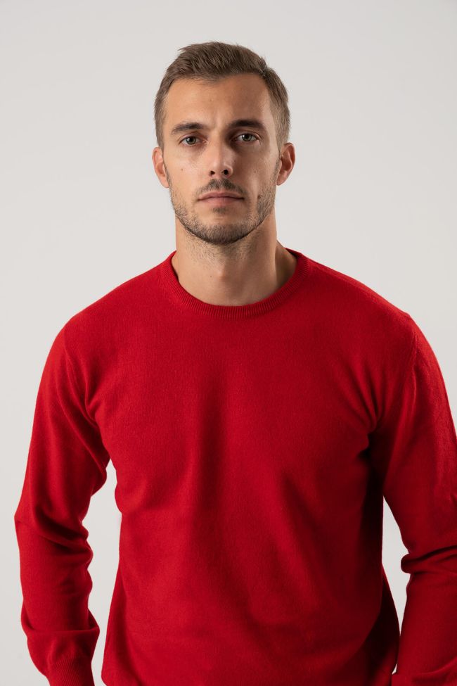 privati firenze Strickwaren Herren Privati Firenze Rundhalsausschnitt Slim Einfarbig 100% Kaschmir Online Shopping