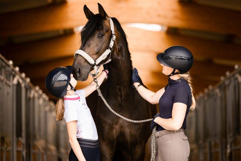 Pikeur AIRDUO XS shiny Speichern exportieren