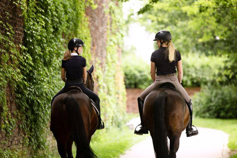 Pikeur AIRDUO XS shiny Speichern exportieren