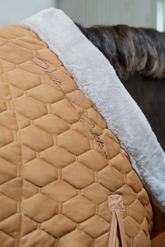 Pikeur ZETA 150 Clearance-Verkauf