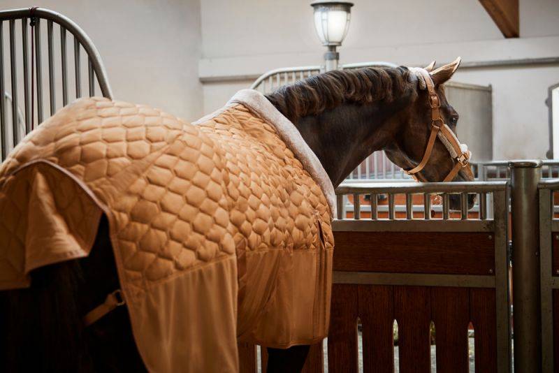 Pikeur ZETA 150 Clearance-Verkauf