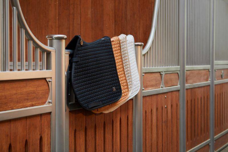 Pikeur COTTON Speichern exportieren