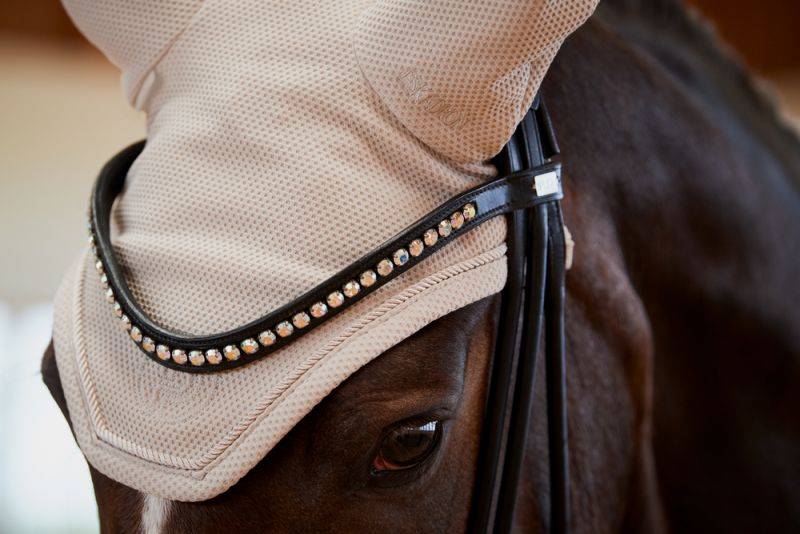 Pikeur MESH Im Verkauf