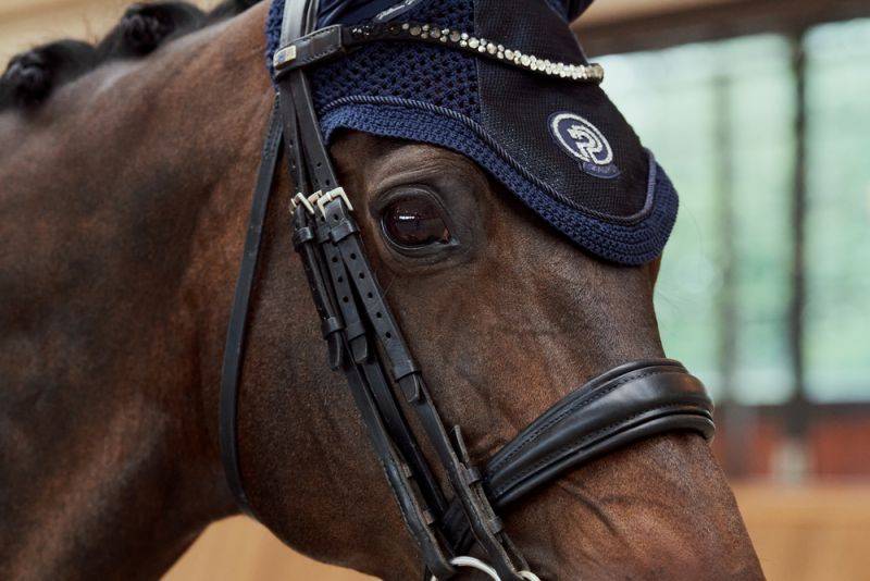 Pikeur GLITTER MESH Verkauf