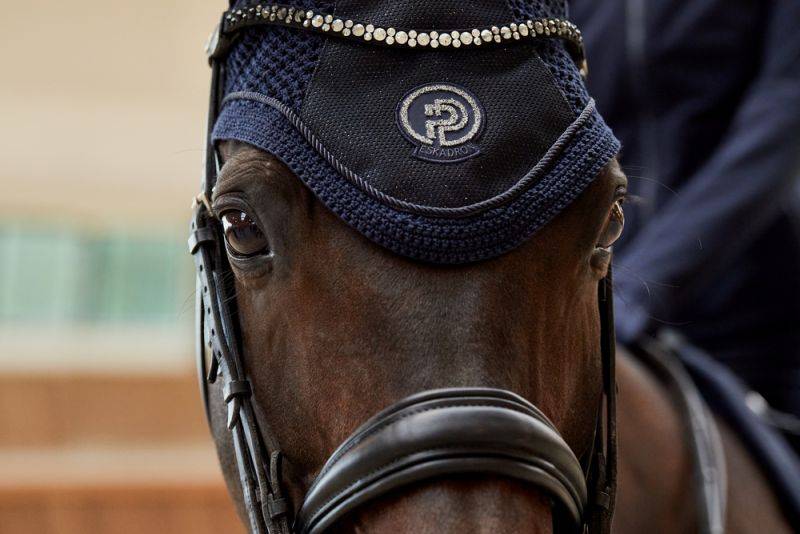 Pikeur GLITTER MESH Verkauf