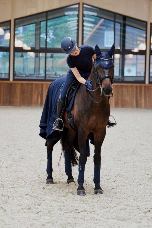 Pikeur GLITTER MESH Verkauf