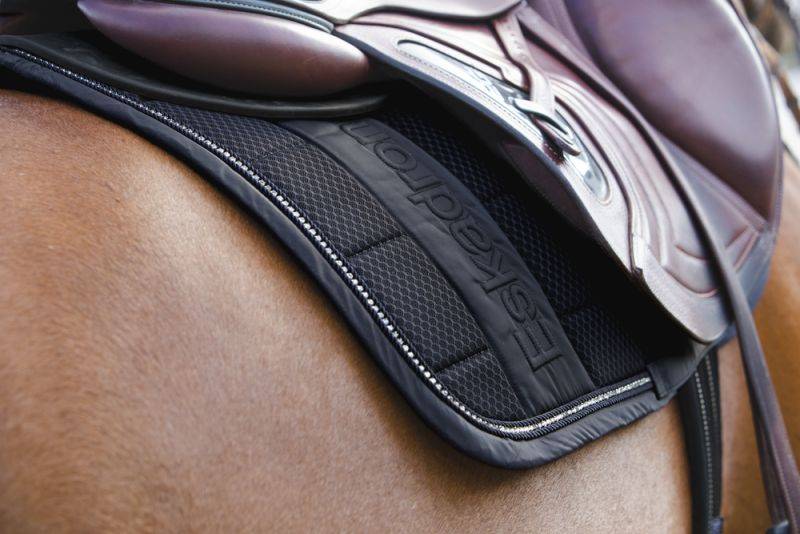 Pikeur BIG SQUARE MESH CRYSTAL im Angebot