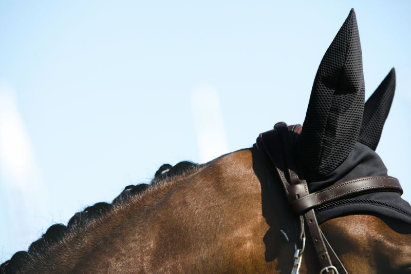 Pikeur SPORT Begrenztes Angebot