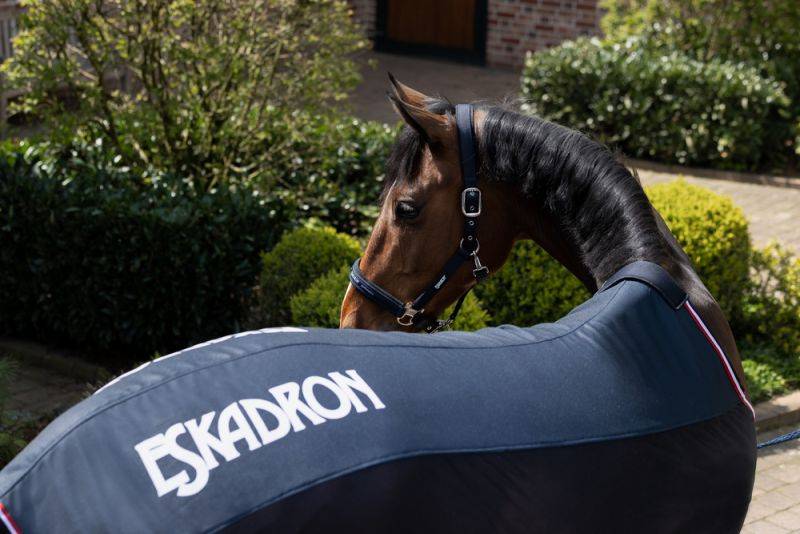 Pikeur PRO COVER Online Outlet