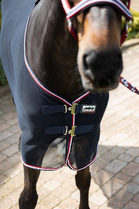 Pikeur FLY DURA CONTRAST Zeitlich begrenztes Angebot