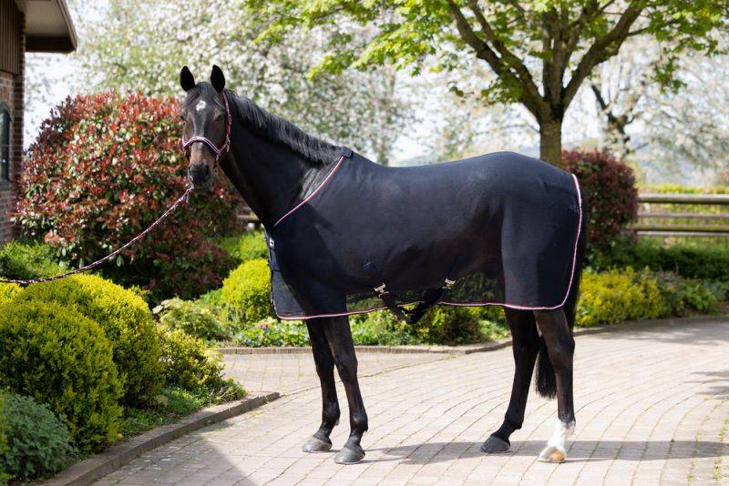 Pikeur FLY DURA CONTRAST Zeitlich begrenztes Angebot