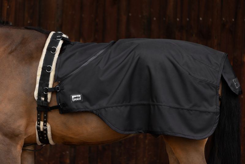 Pikeur 2 in 1 Blitzangebot
