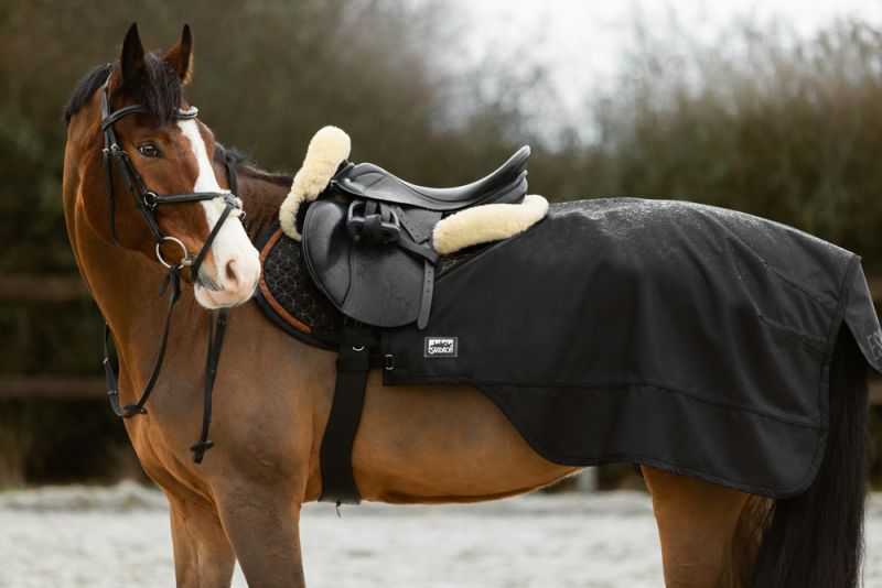 Pikeur 2 in 1 Blitzangebot