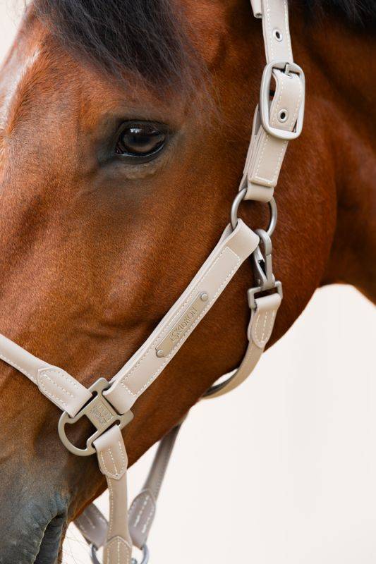 Pikeur LEATHER DOUBLE PIN Vierteljährliche Förderung