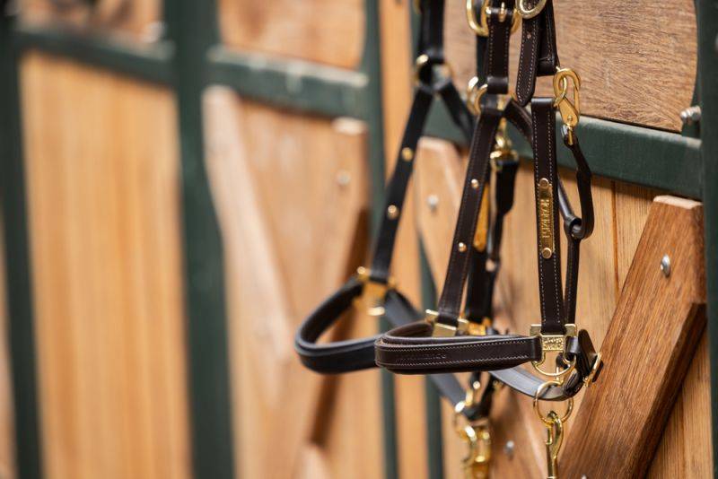 Pikeur LEATHER ELEGANCE Bis zu 55% Rabatt
