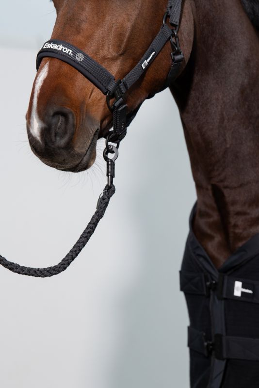 Pikeur Double-Pin Discount Store für neue Produkte