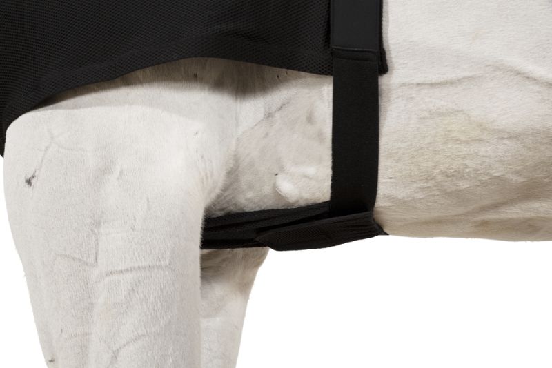 Pikeur DYNAIRMESH BRUSTSCHUTZ Kostenloser Versand