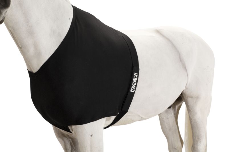 Pikeur DYNAIRMESH BRUSTSCHUTZ Kostenloser Versand