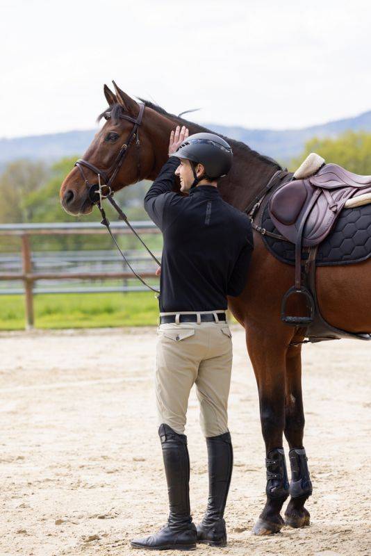 Pikeur PIKEUR RODRIGO MC KN Letzte 3 Tage
