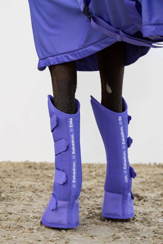 Pikeur Mesh im Angebot