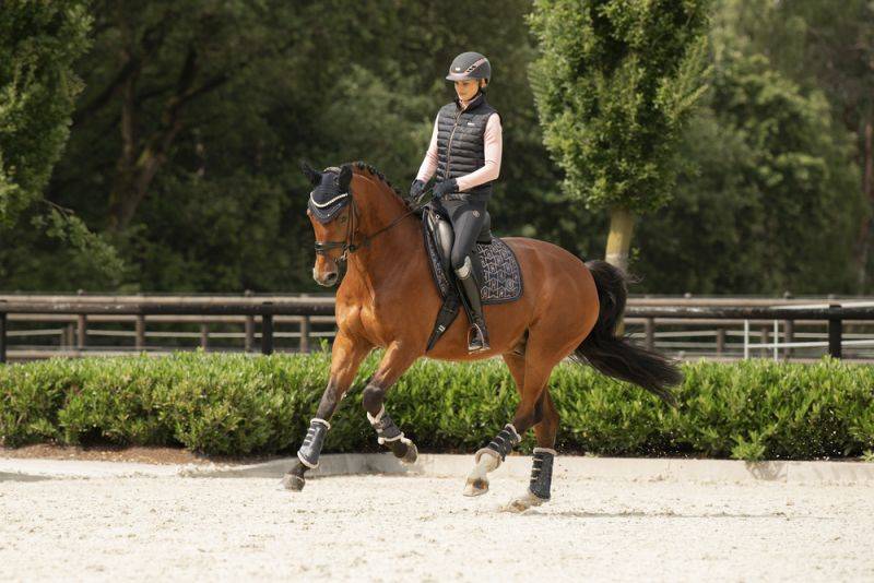 Pikeur GLOSSY HERITAGE Limitierter Zeitrabatt