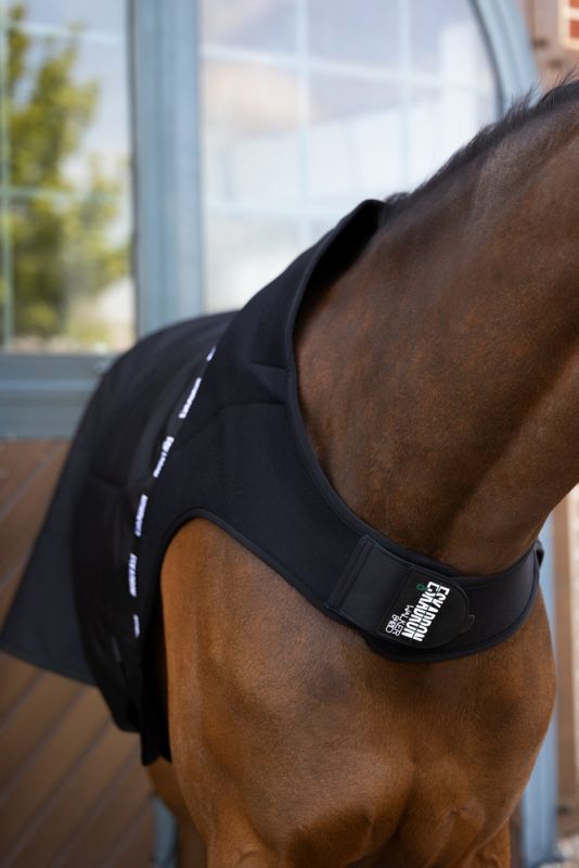 Pikeur DELTA Fleecelining Begrenztes Angebot