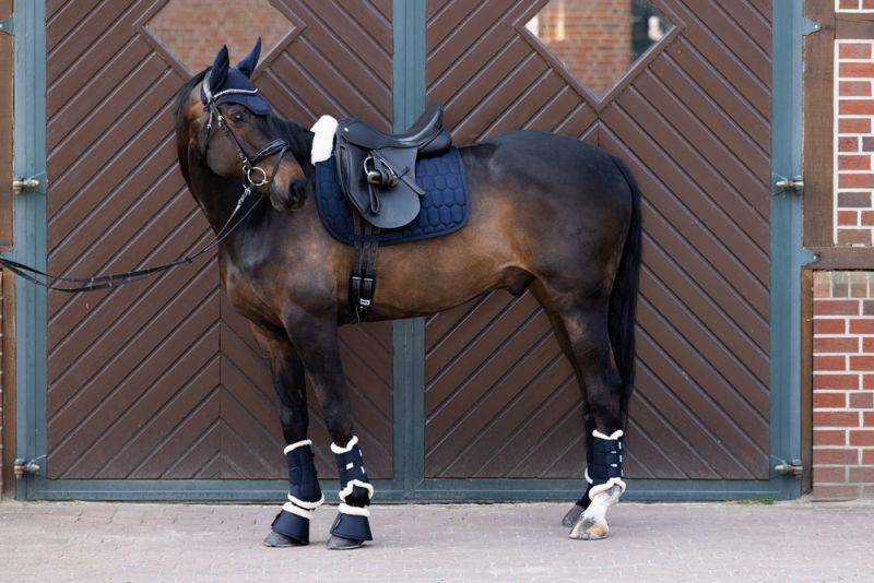 Pikeur COTTON EVO-WOOL Muttertagsangebot