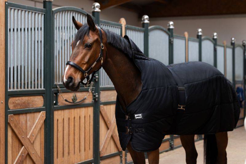 Pikeur THERMO COTTON 240 Valentinstagsangebot