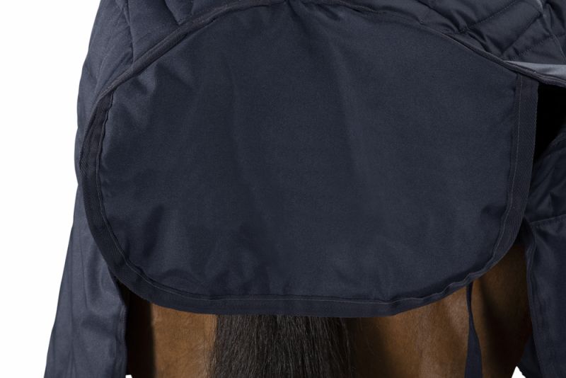 Pikeur ZETA 200 Jubiläumsangebot