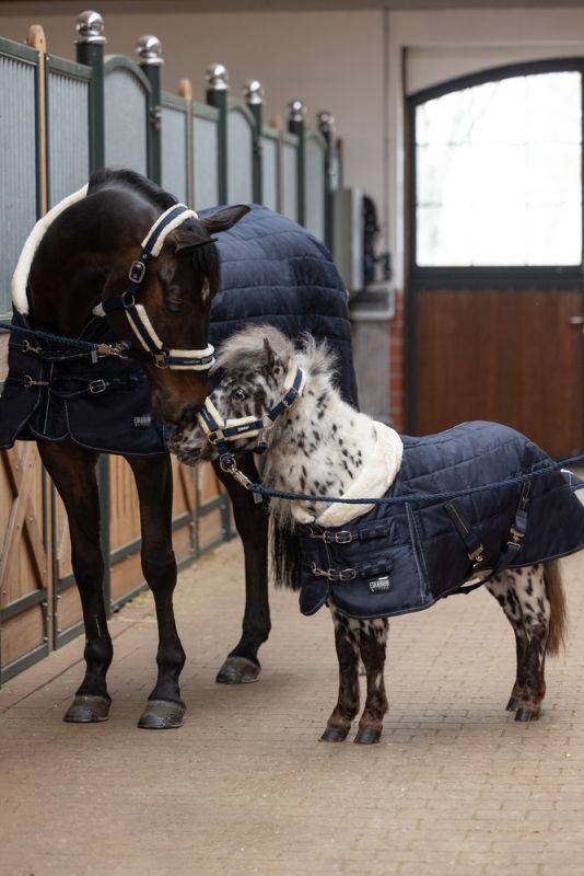 Pikeur ZETA 200 SHETTY Lagerräumung
