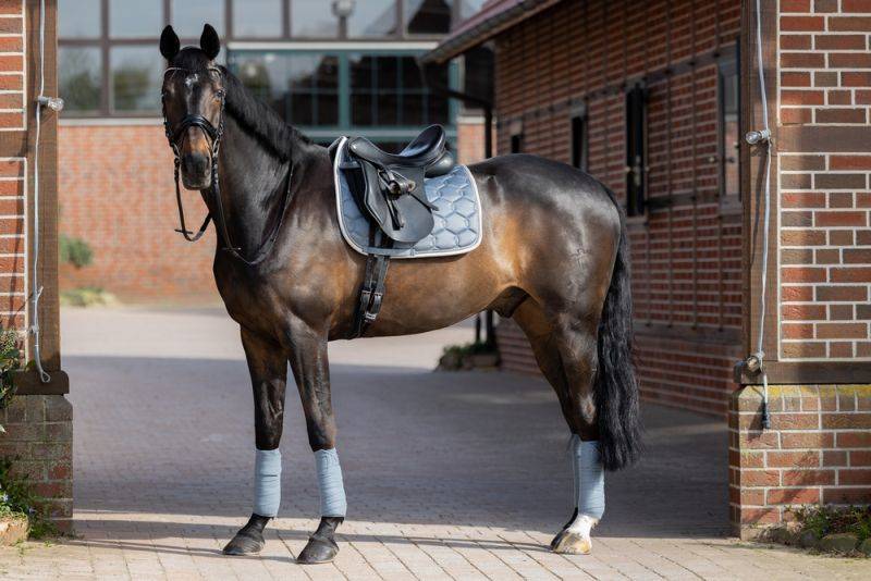 Pikeur GLOSSY WAVE CONTRAST Sonderangebote