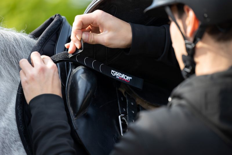Pikeur INNO-STRAP Set Riesige Ersparnisse
