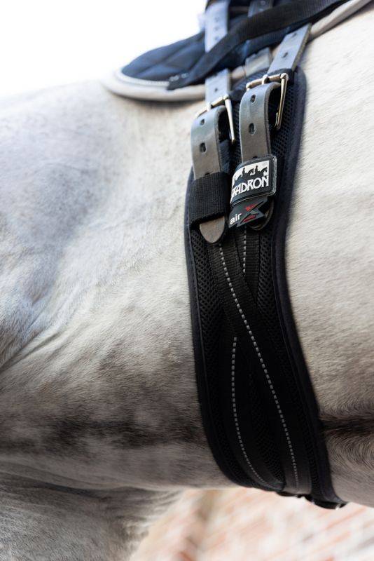 Pikeur MESH DRESSAGE Super Sparpreis