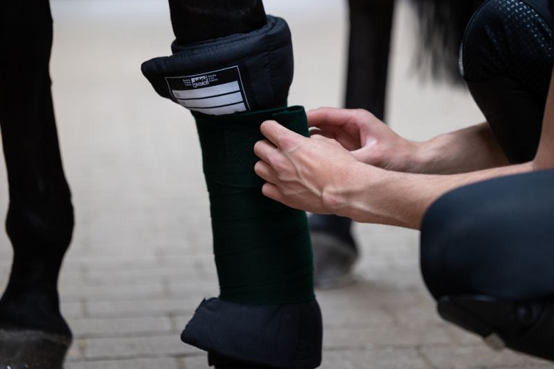 Pikeur MICRO PADS Kostenlose Rückgabe