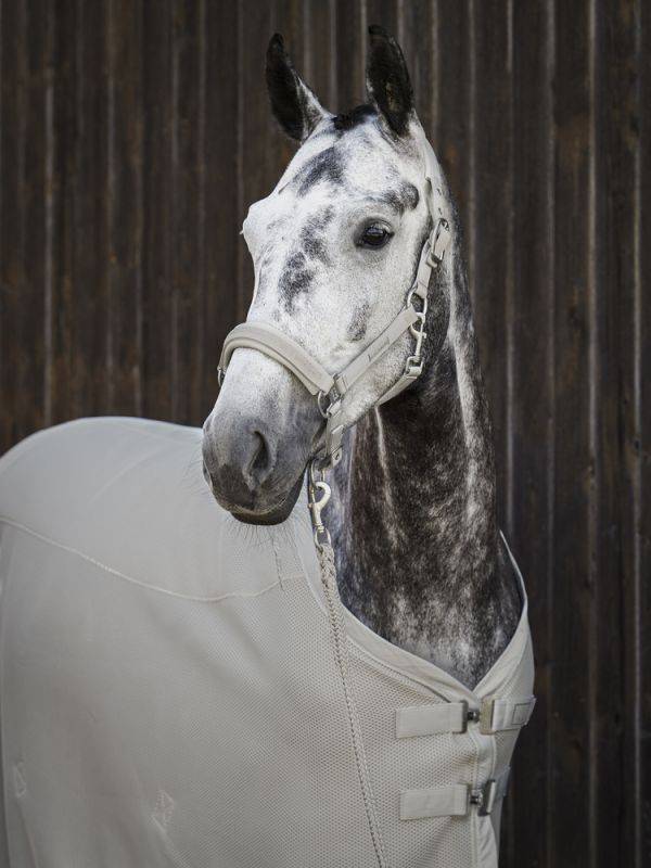 Pikeur MESH Begrenzte Freigabe