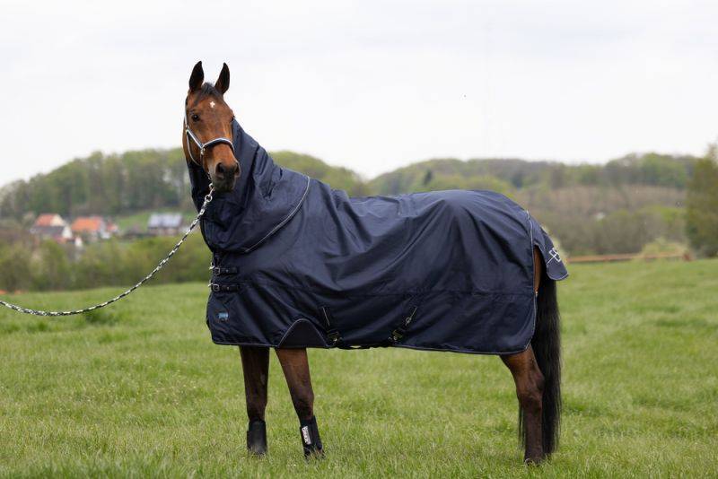 Pikeur OMEGA Fleecelining Letzte 3 Tage