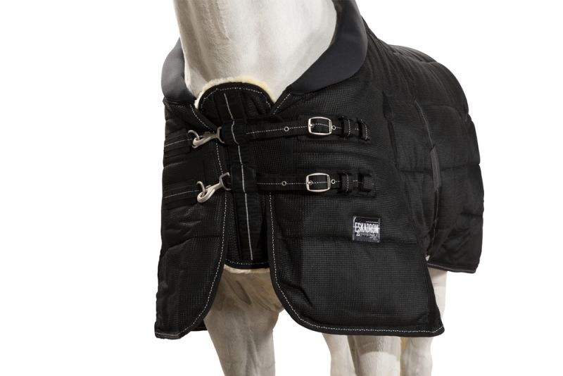 Pikeur SIGMA STABLE 100 Letzte 2 Tage