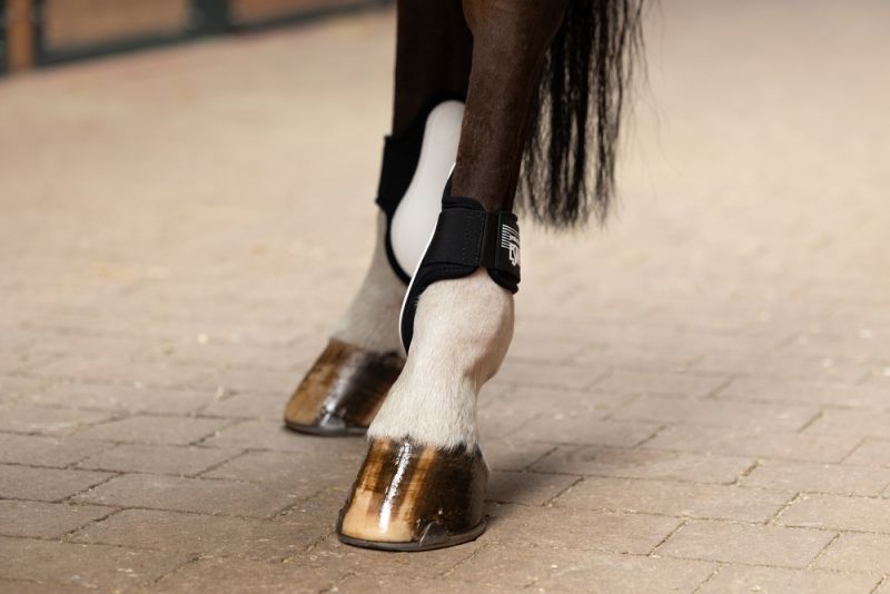Pikeur PROTECTION ELASTIC H Begrenzt auf 3 Tage