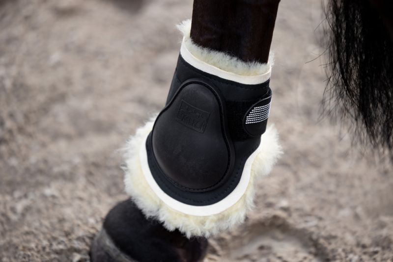 Pikeur PROTECTION LAMMFELL H Speichern exportieren