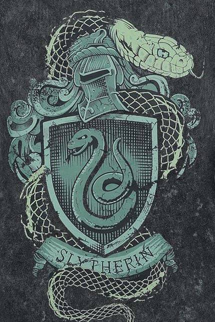 EMP "Slytherin Crest" Top dunkelgrün von Harry Potter Valentinstagsangebot