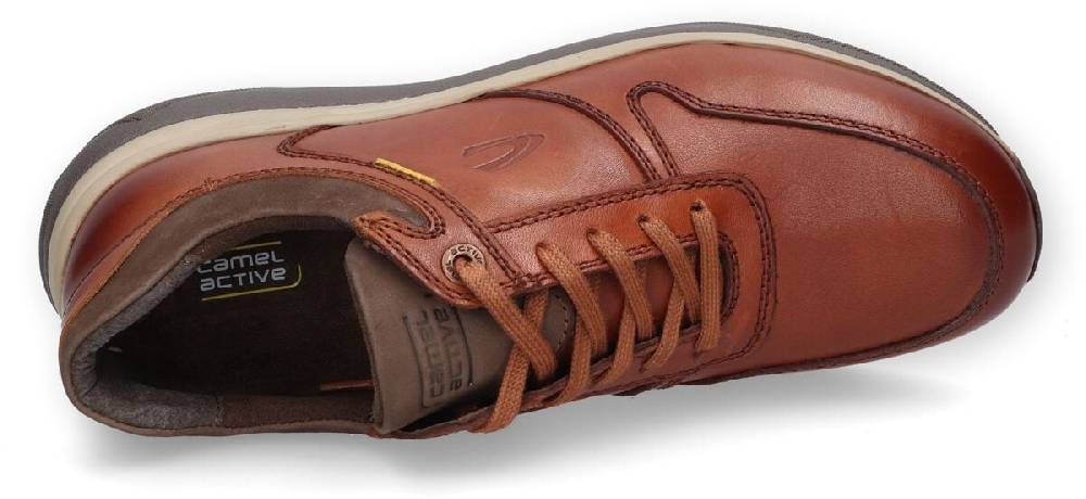 EMP "Sneaker Low" Schnürschuh braun von Camel Active Top Angebot