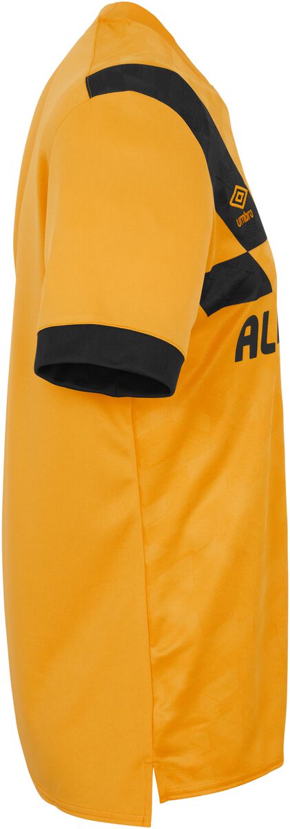 EMP "23/24 Home Jersey" Trikot multicolor von Dynamo Dresden Online Outlet