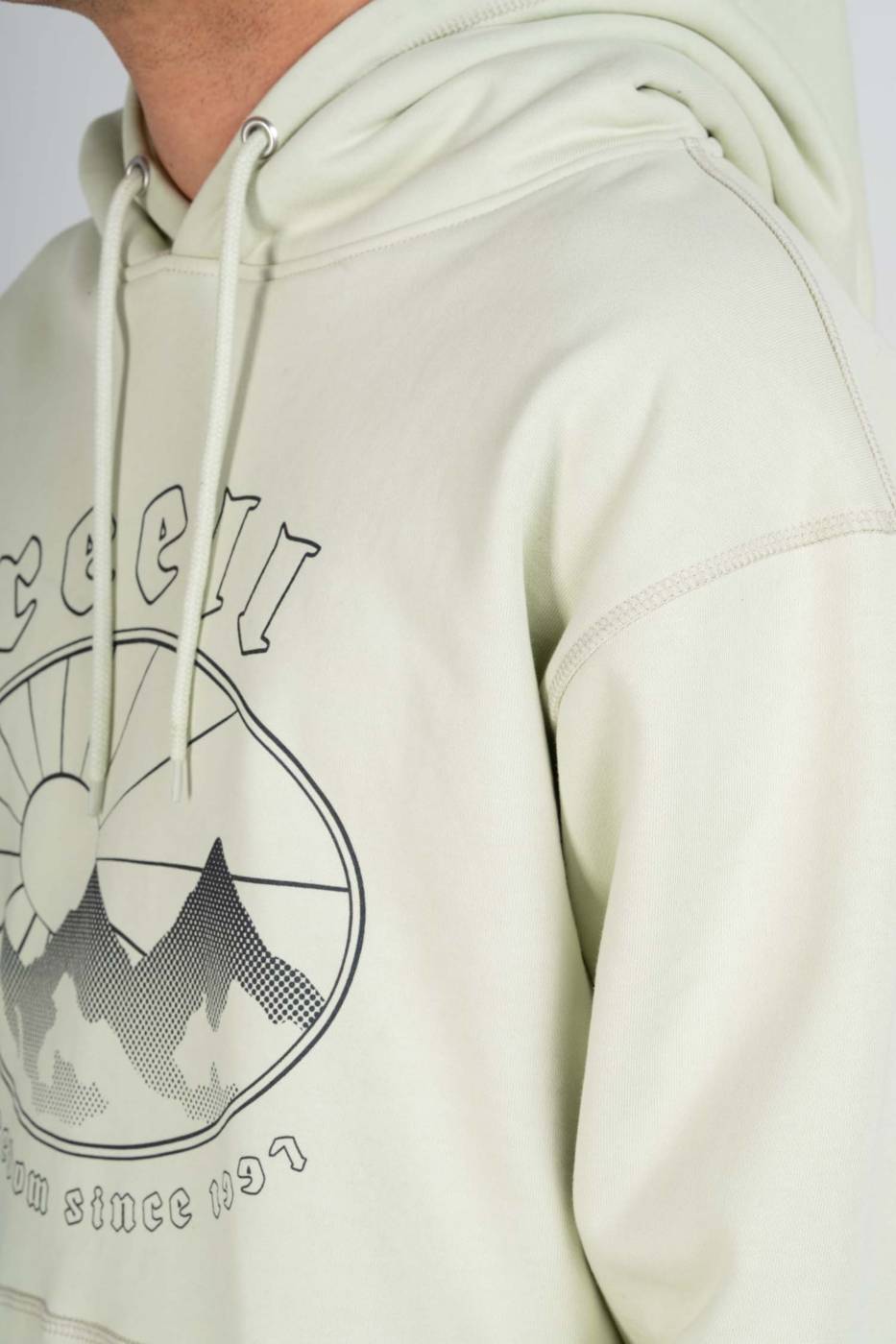 Reell Area Hoodie Tiefpreis