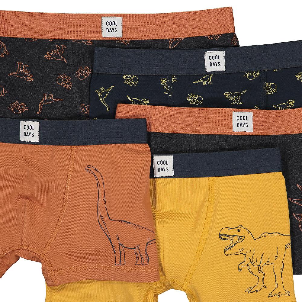 laredoute 5er-Pack Boxerpants "Dinosaurier" bunt LA REDOUTE COLLECTIONS Große Rabatte